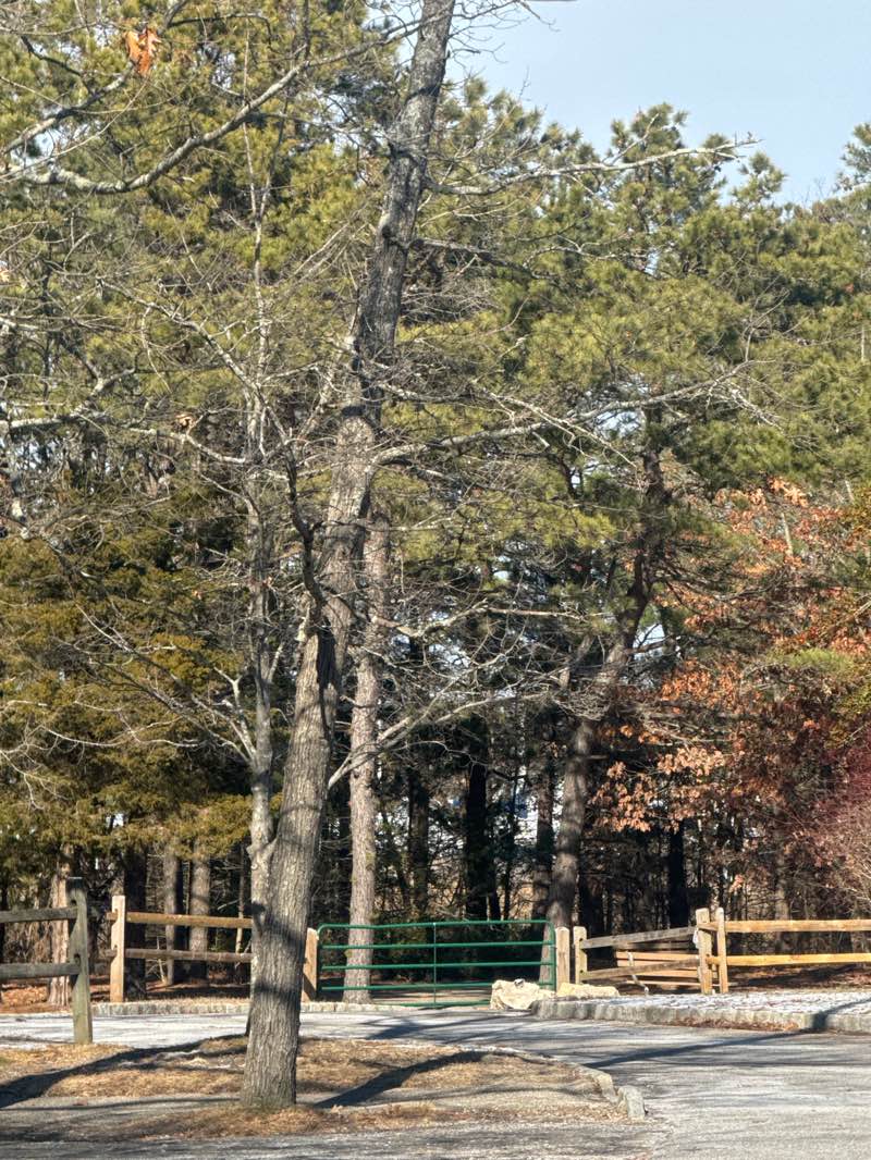 walking near me in Mill Creek Park in winter
