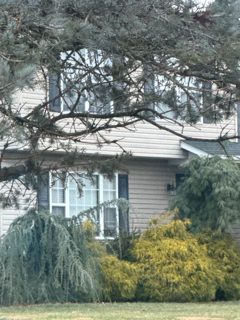 walking near me in Abraham Park in winter