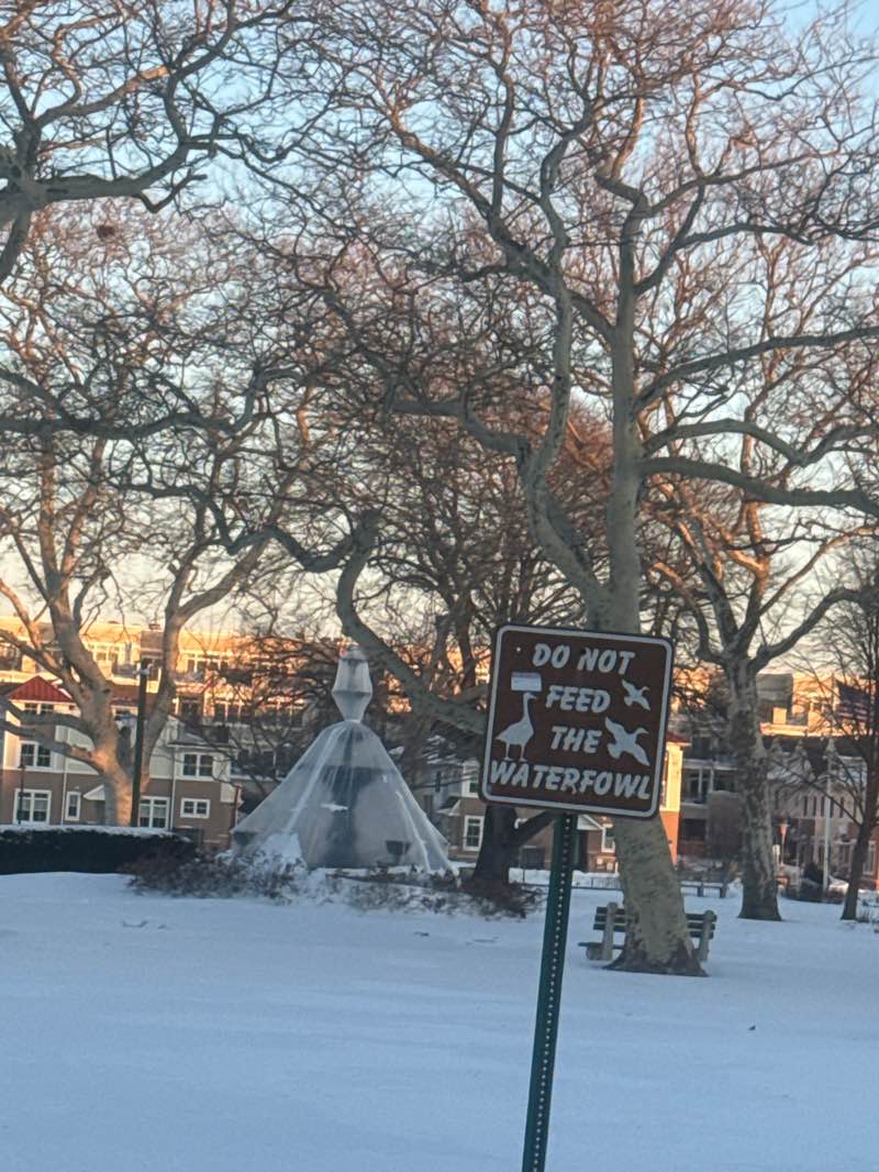walking near me in Founder's Park in winter