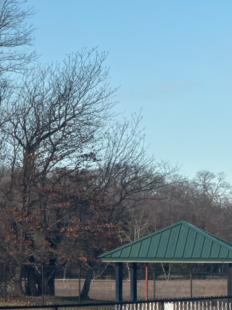 walking near me in Wolf Hill Recreation Area in winter