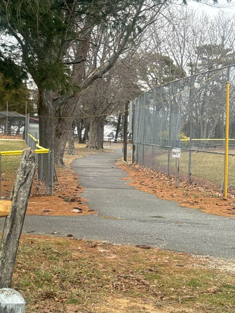 walking near me in Mayo Park in winter