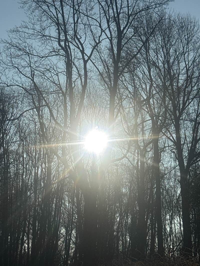 walking near me in Normandy Park in winter