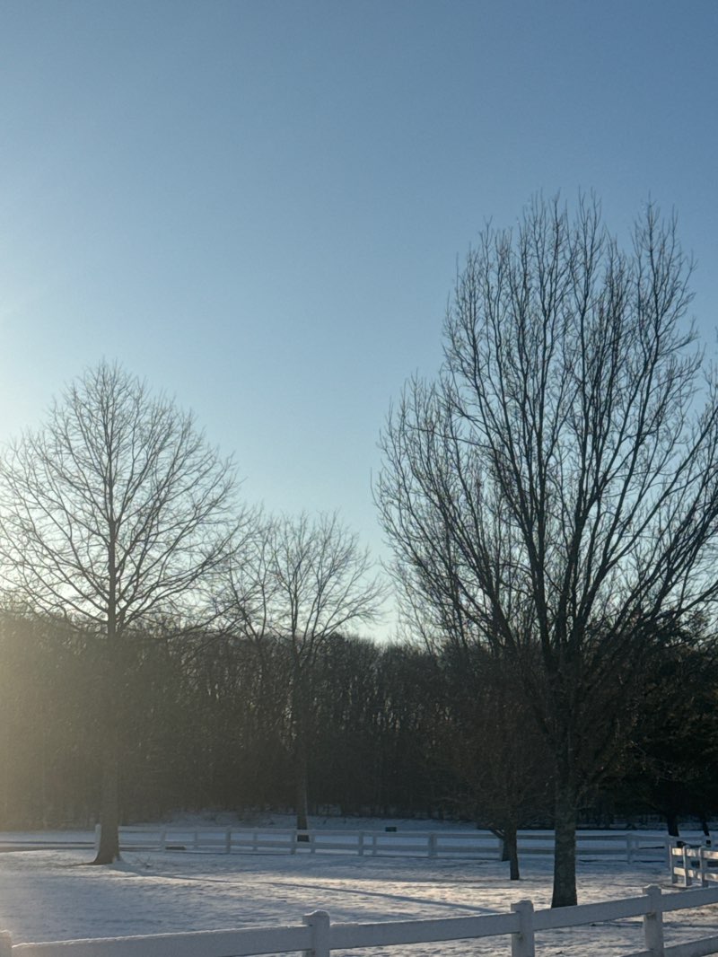 walking near me in Michael J. Tighe Park in winter