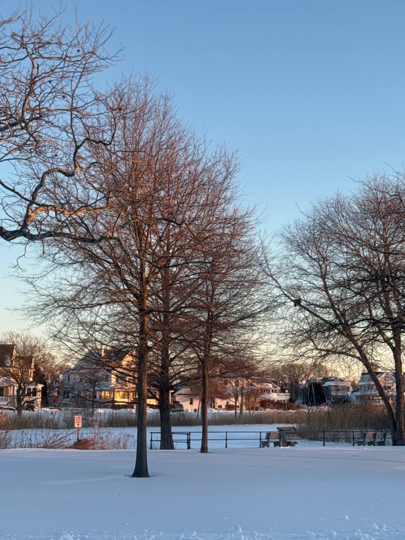 walking near me in Riley Park in winter