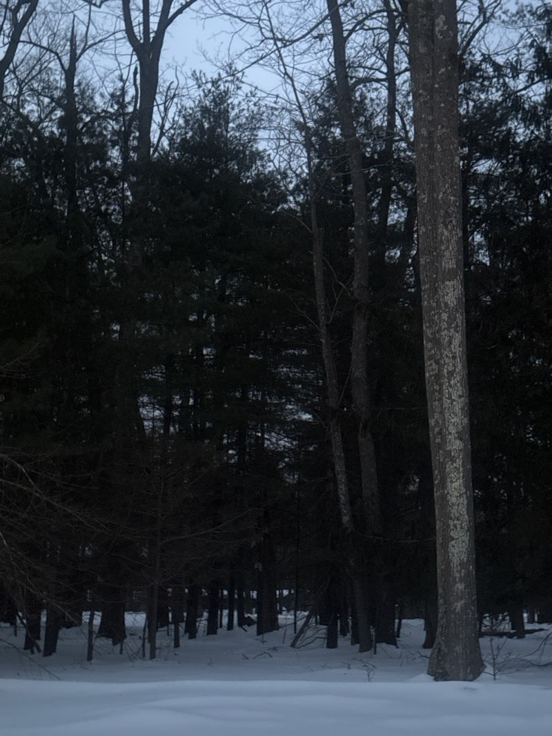walking near me in Ocean County Park No. 1 in winter