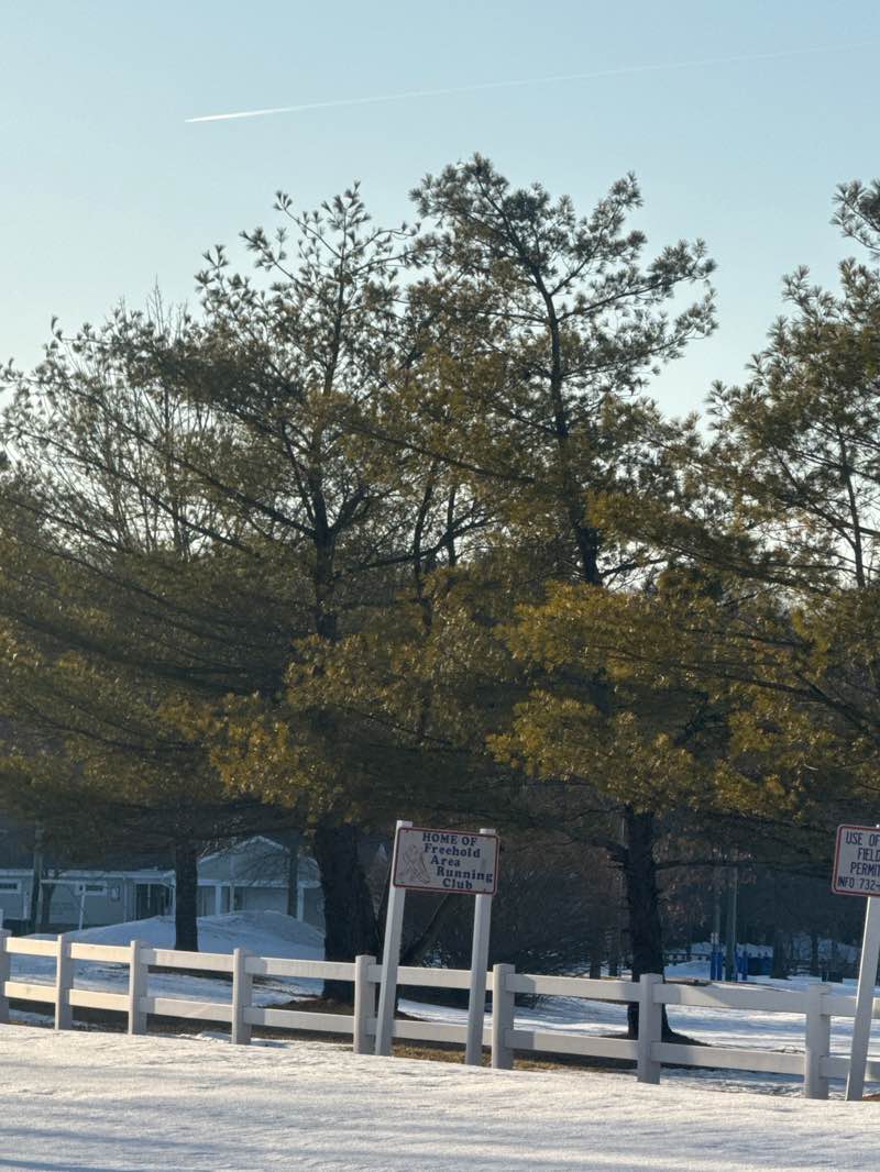 walking near me in Michael J. Tighe Park in winter