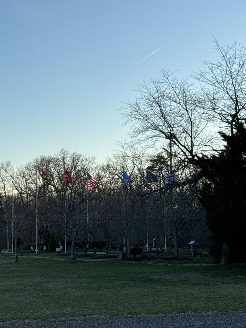 walking near me in Bey Lea Park in spring