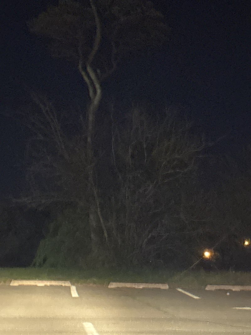 walking near me in Toms River FC Oak Park Complex in spring