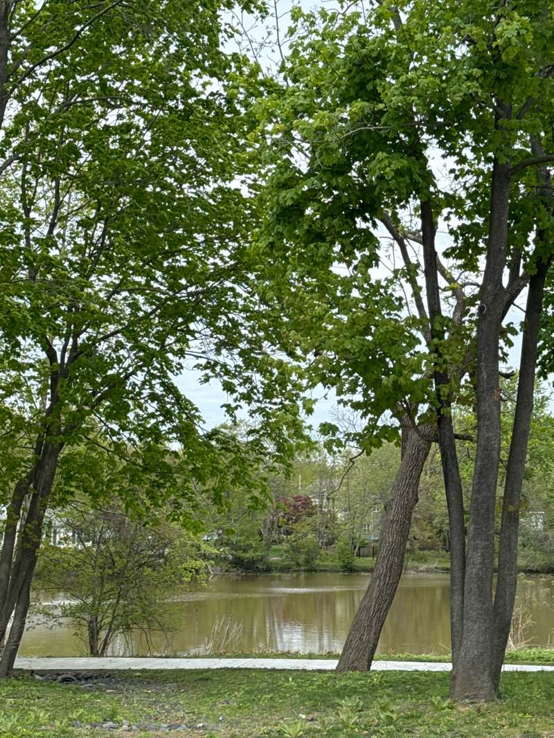 walking near me in Wampum Lake Park in spring