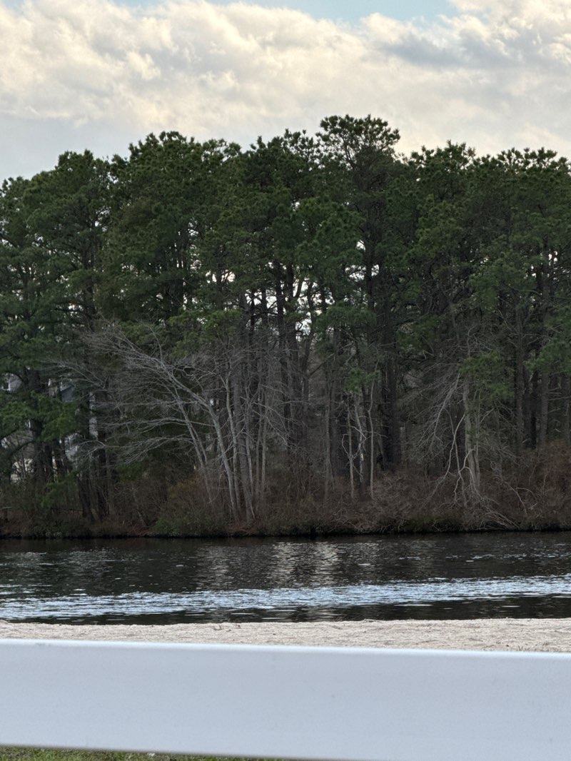 walking near me in Pine Lake Park in spring