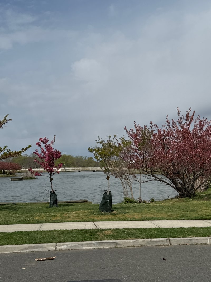 walking near me in Sunset Park in spring