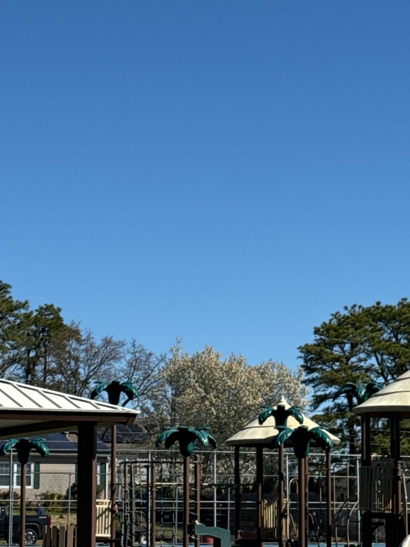 walking near me in 6th Ave Playground in spring