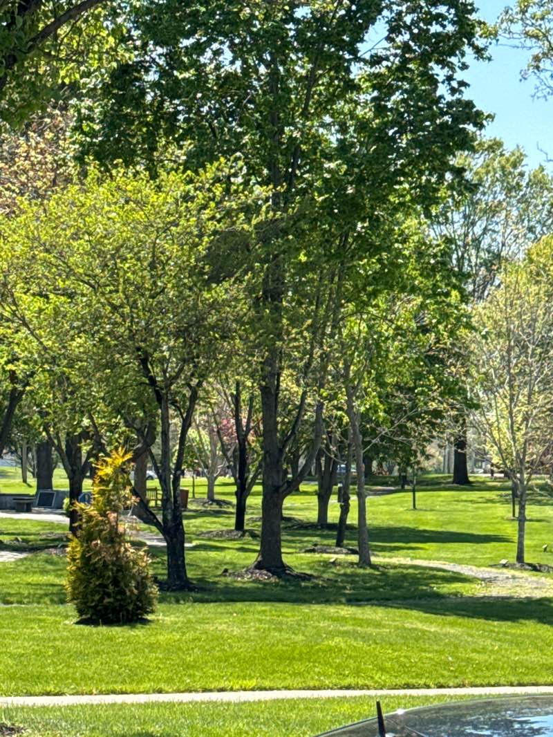 walking near me in Manalapan 9/11 Memorial in spring