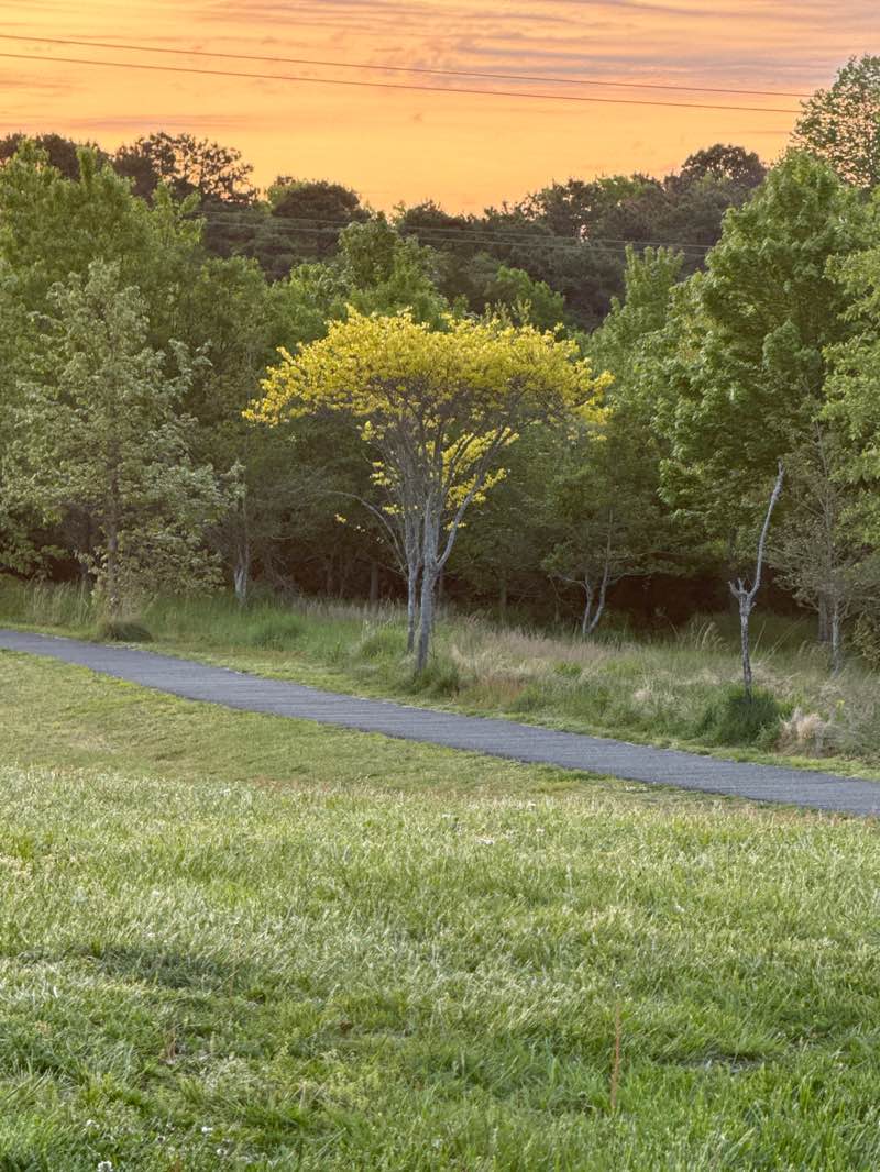 walking near me in Toms River Veterans Recretion Complex in spring