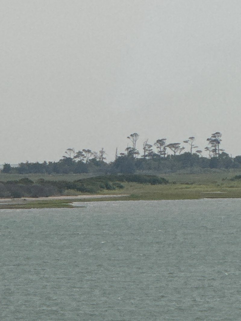 walking near me in Fisherman Island National Wildlife Refuge in summer