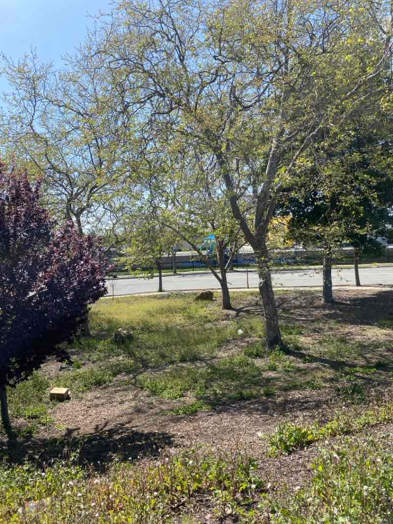 walking near me in Eden Greenway in spring