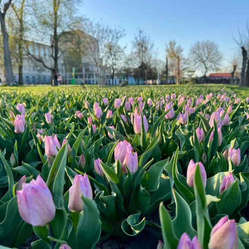 Tech4You | Sport Алеся post image