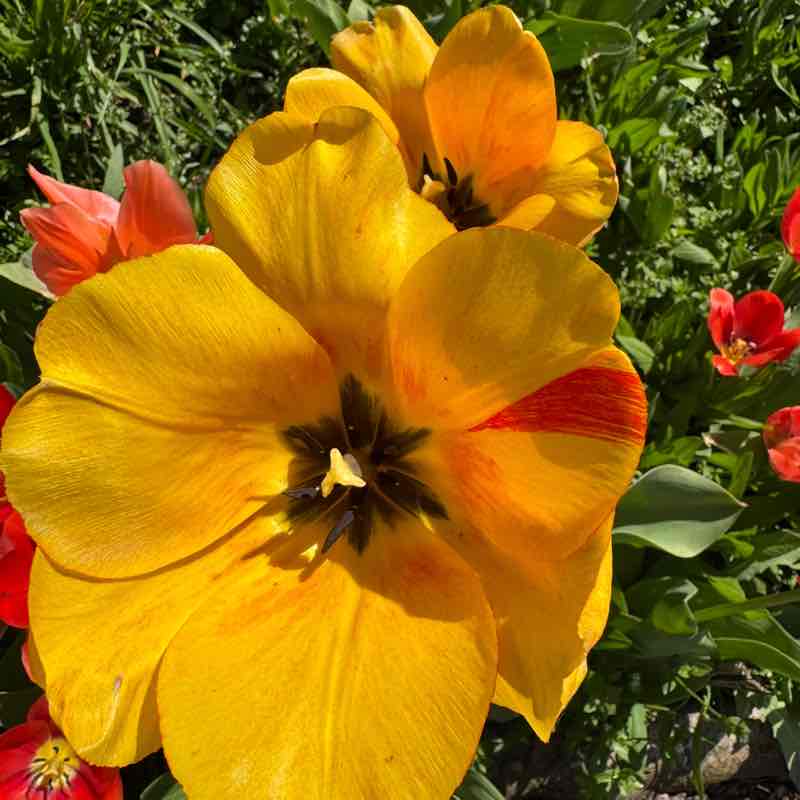 Tech4You | Sport Алеся post image