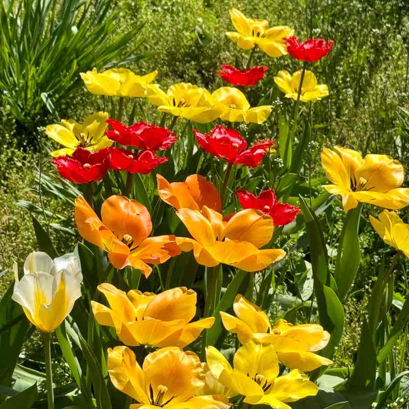 Tech4You | Sport Алеся post image