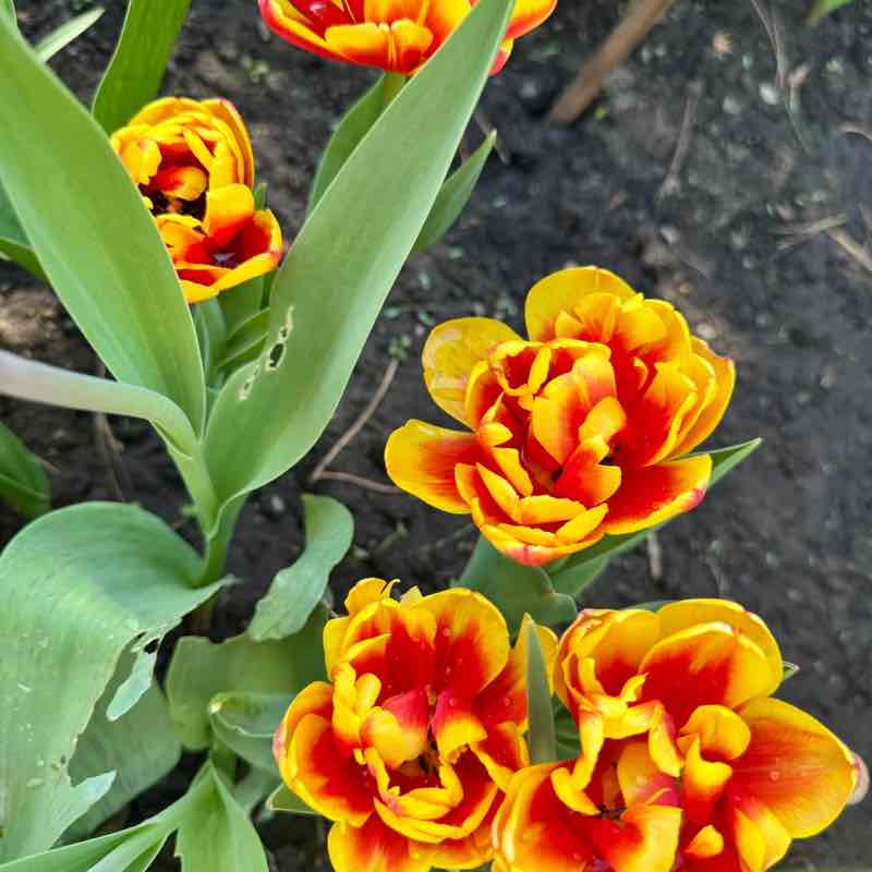 Tech4You | Sport Алеся post image