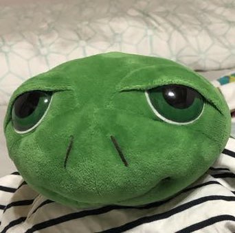 藥劑 丁鈺玲 342987 icon