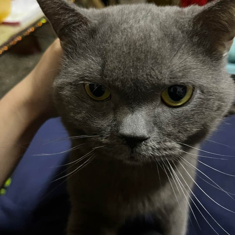 賤ㄎㄤˉ 執皆書爛 post image