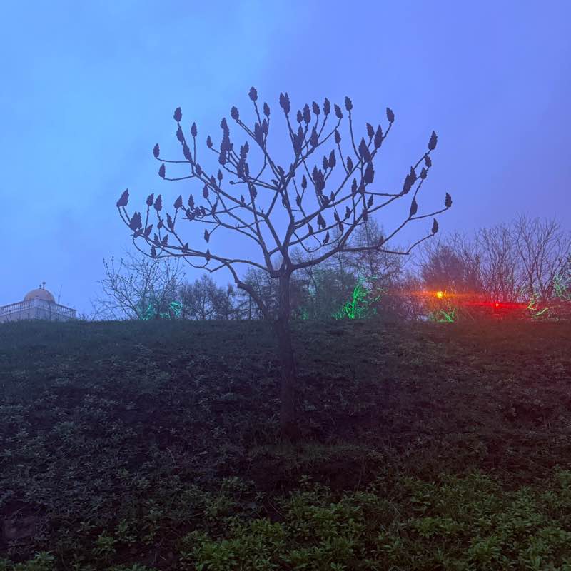 SmartHead: Из Казани в Бангкок Юлия post image