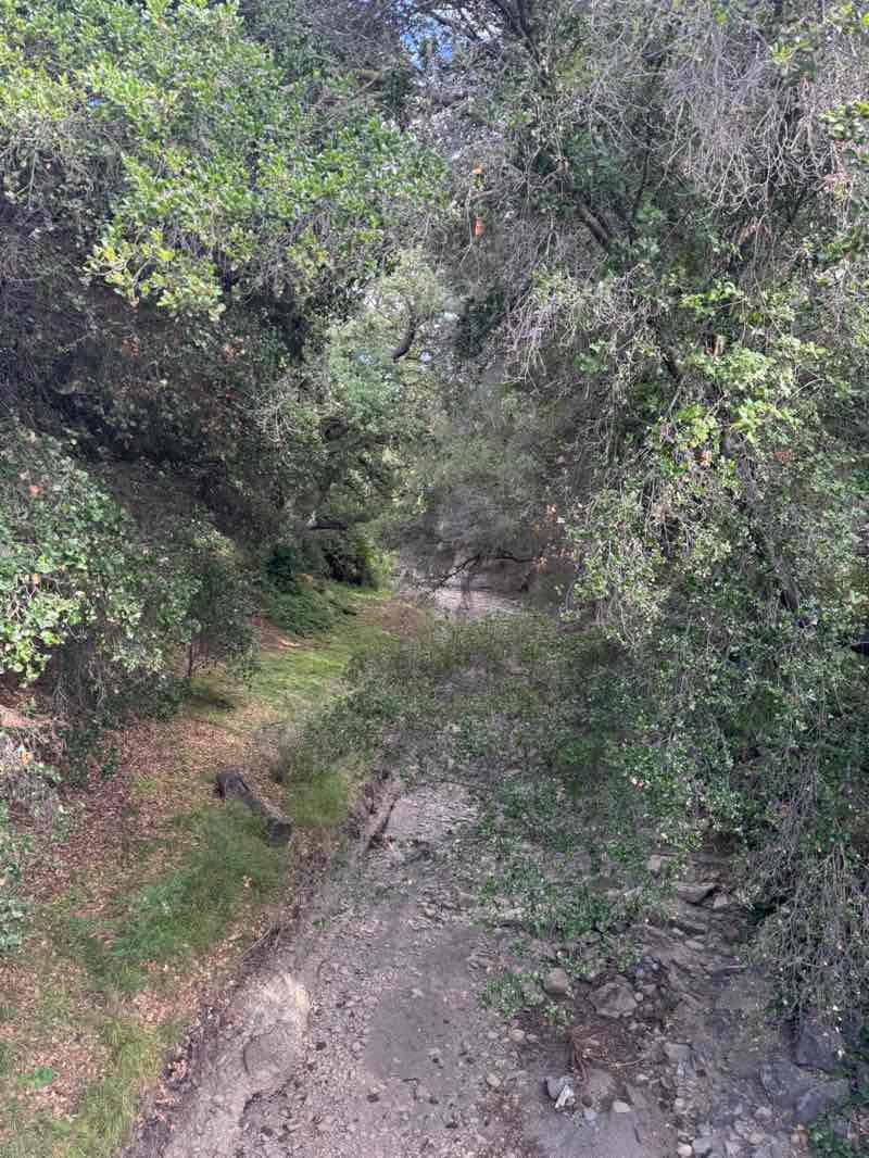 walking near me in Rancho Rinconada Recreation Center in spring
