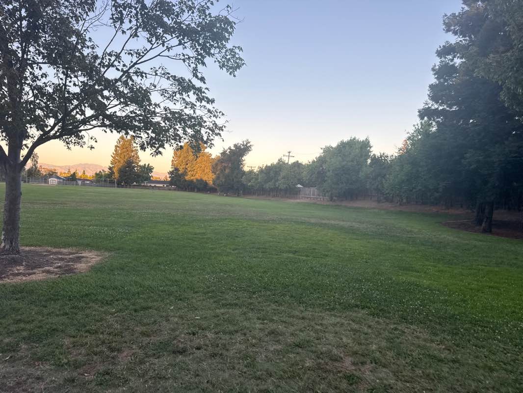 walking near me in Jollyman Park in summer