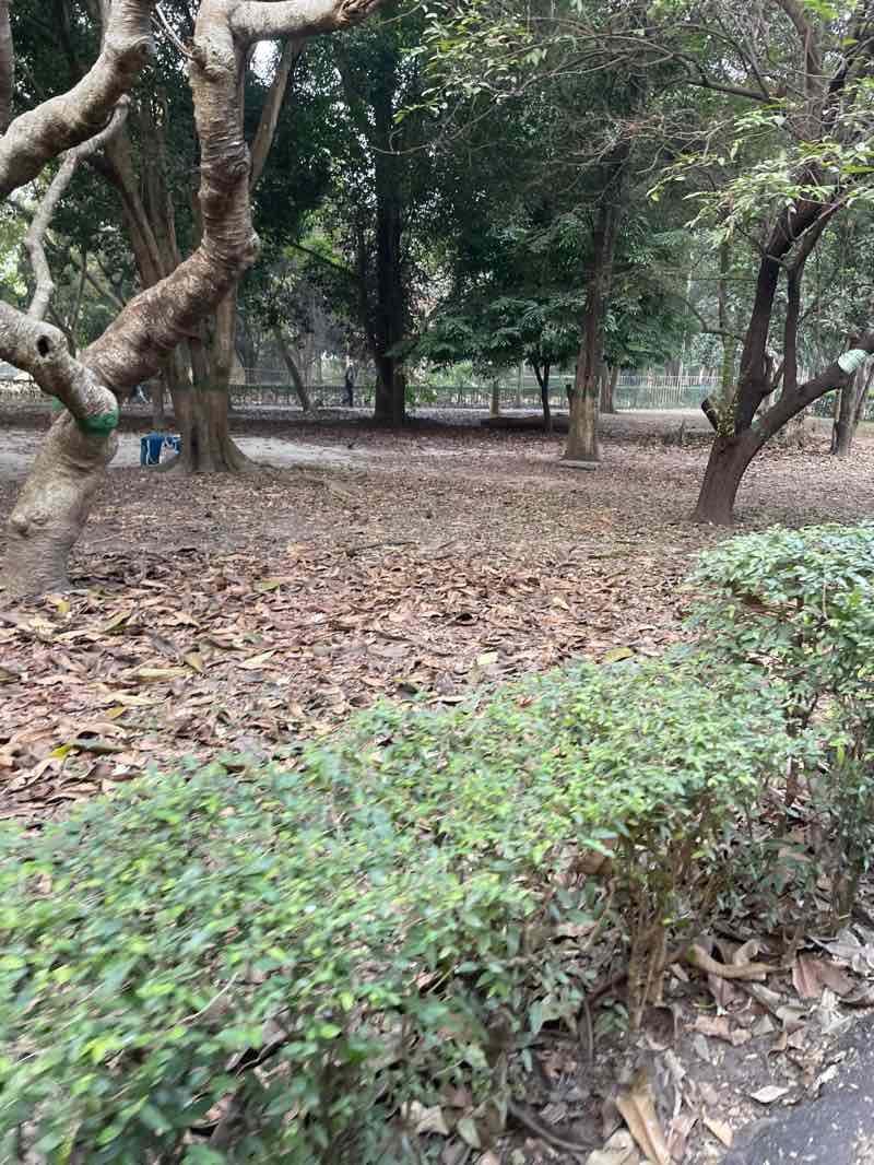 walking near me in Central Park in winter