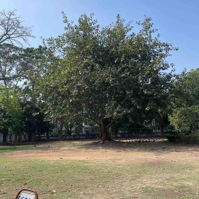 narendra.soni0986 post 1