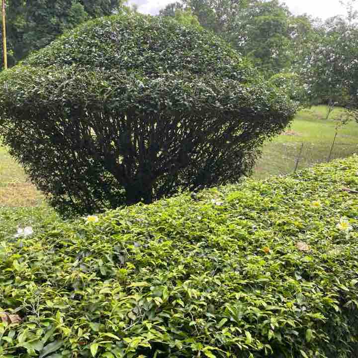 narendra.soni0986 post 1