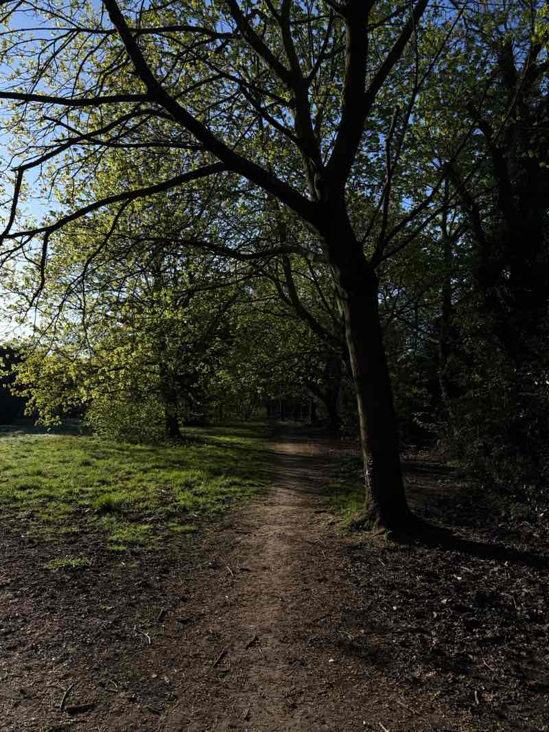 walking near me in Hearsall Common in spring