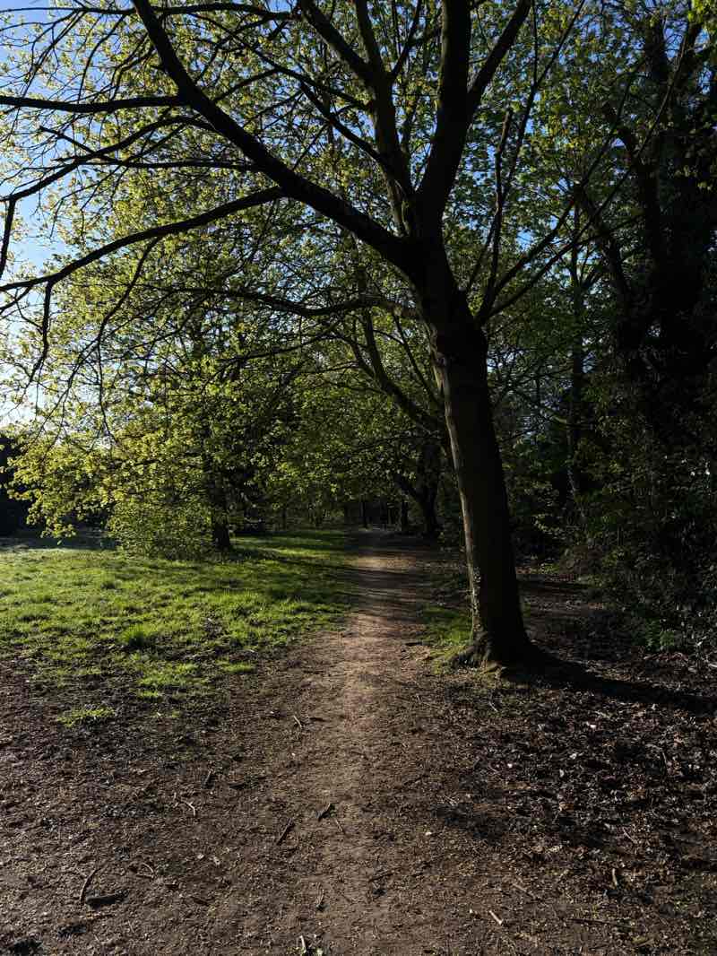 walking near me in Top Green Park in spring