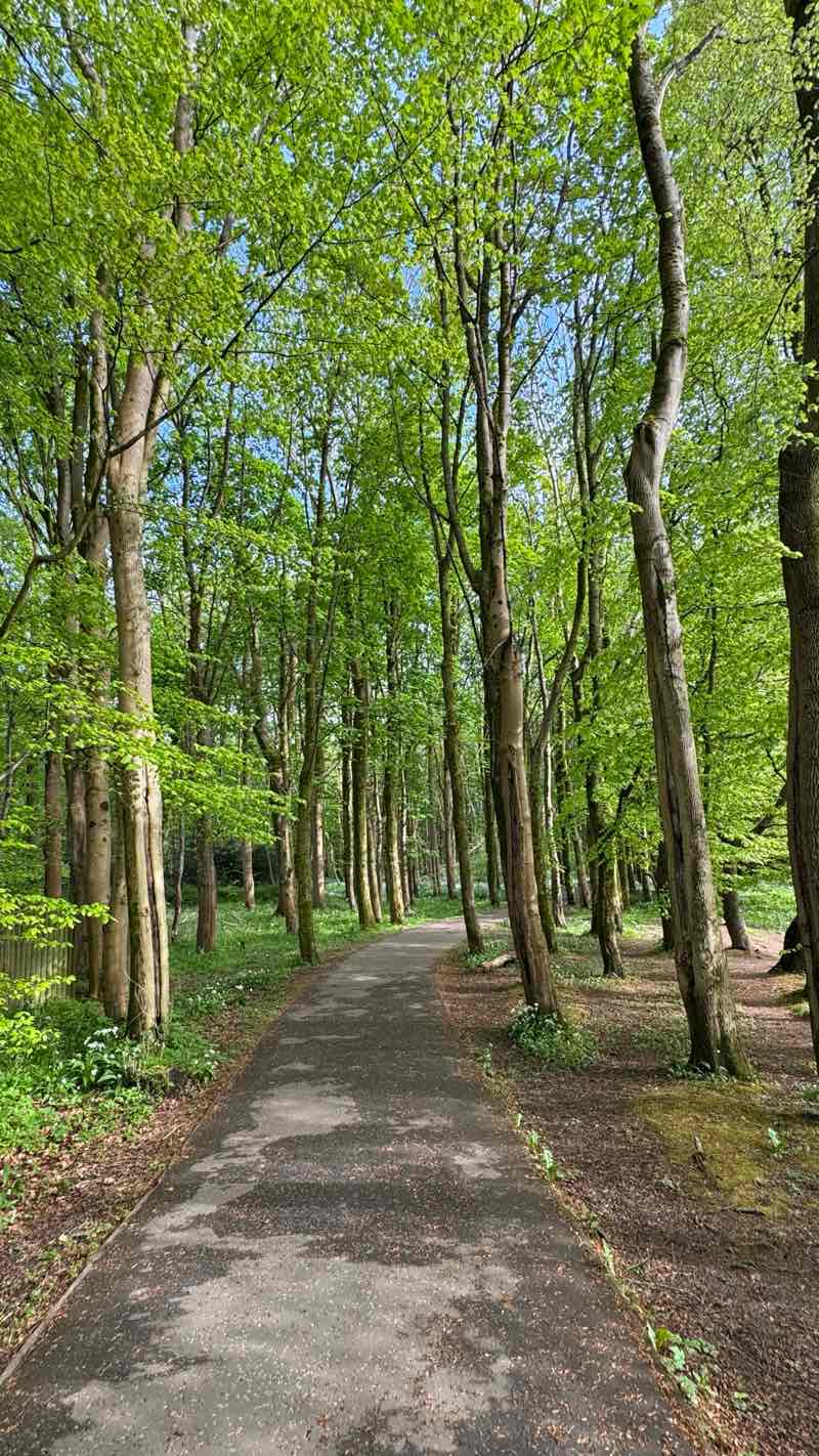 walking near me in Pollok Country Park in spring