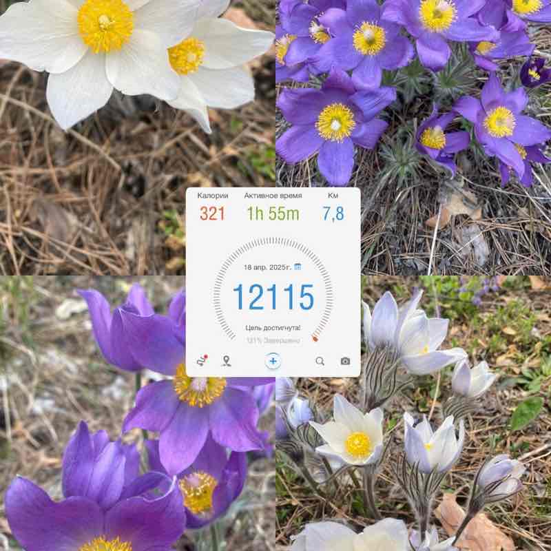 Шагай! aimukesh108 post image