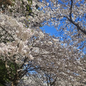 SOHO 매니저 김재동 profile