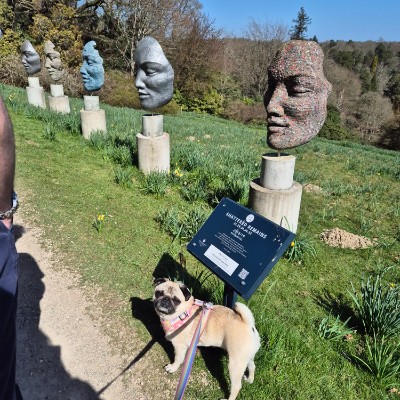 calmlouispreece post 1