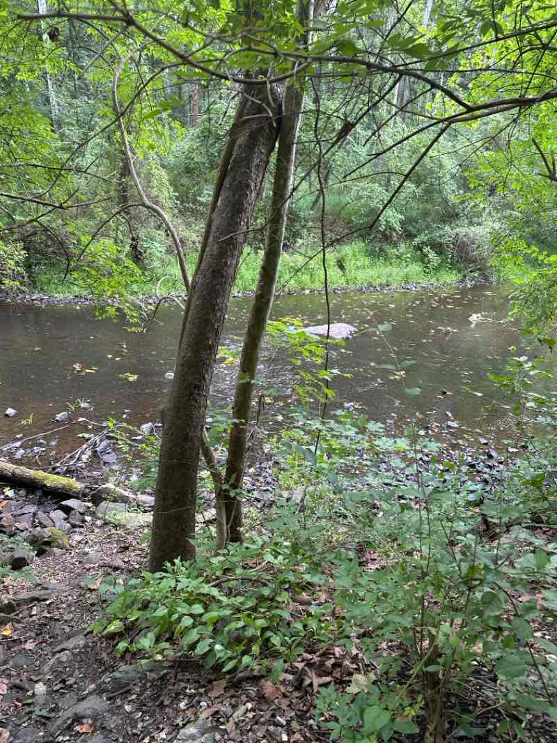 walking near me in Marsh Creek State Park in summer