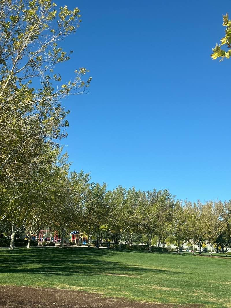 walking near me in Gardens Park in autumn