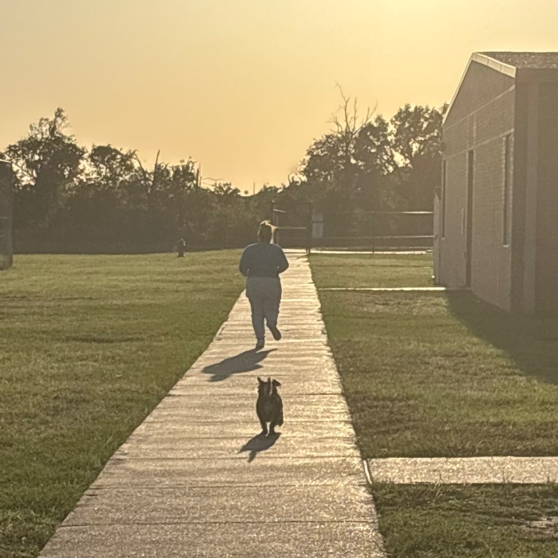 Laura (Houston Front Desk) icon
