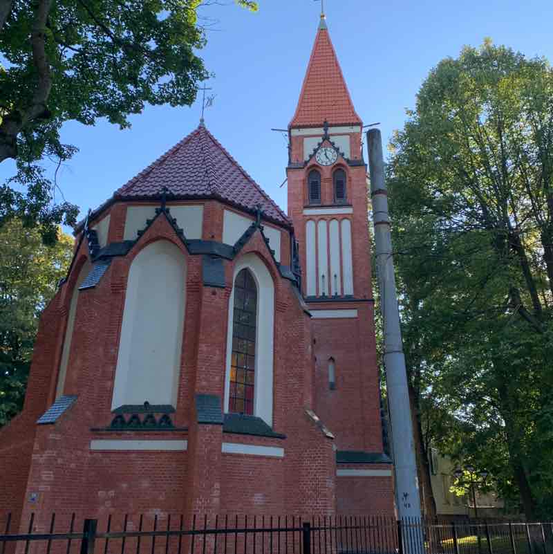 🦣 Smilodon post image