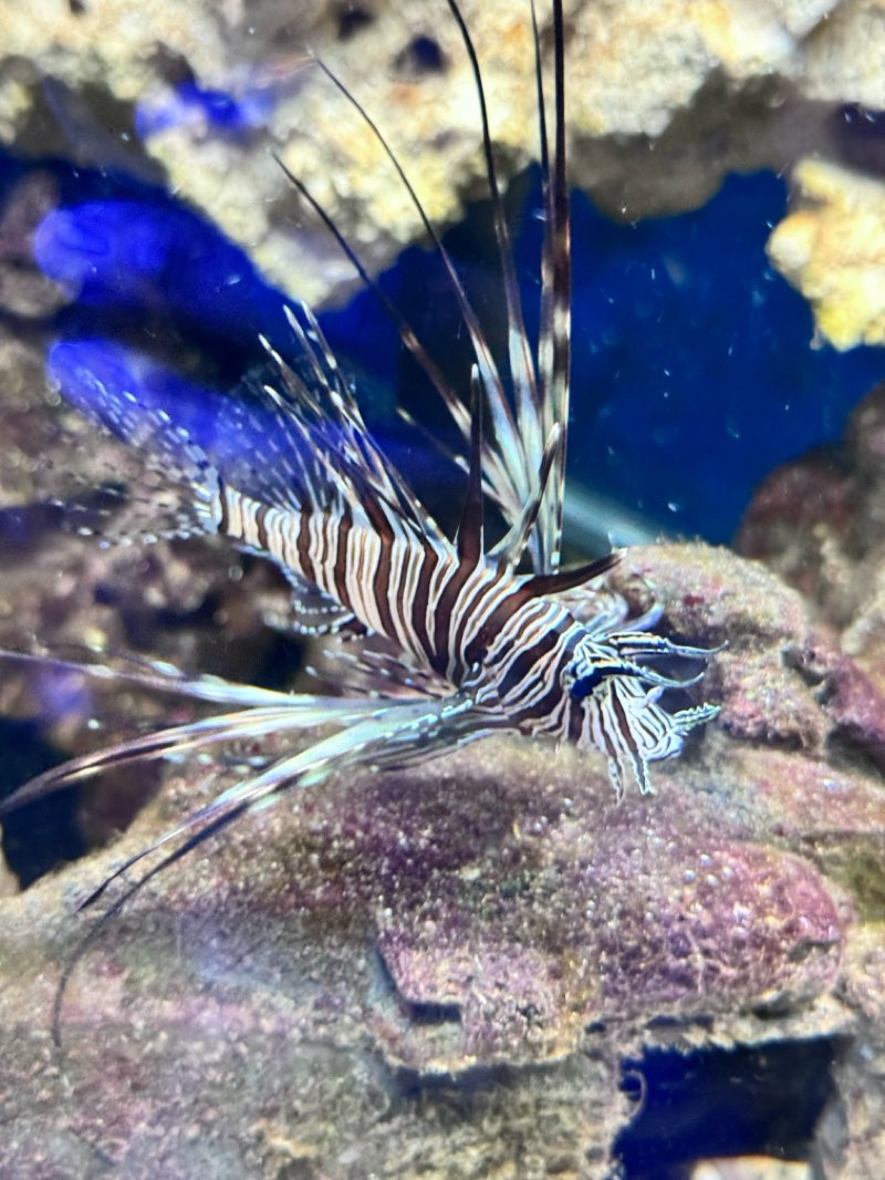 walking near me in Schlanger Park in summer