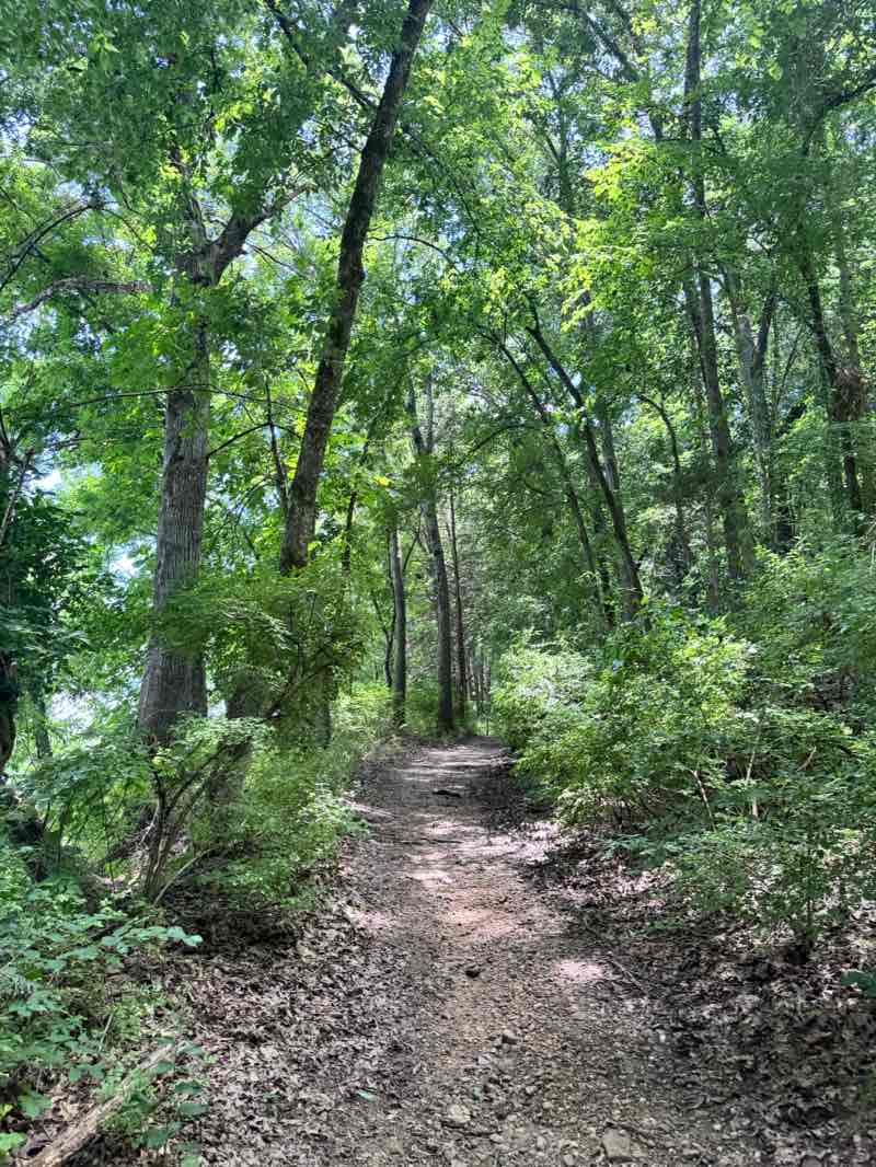 walking near me in Lake Sequoyah Park in summer