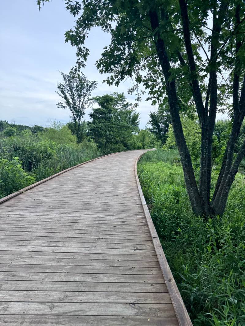 walking near me in Osage Park in summer