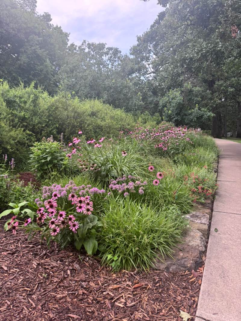 walking near me in Wilson Park in summer