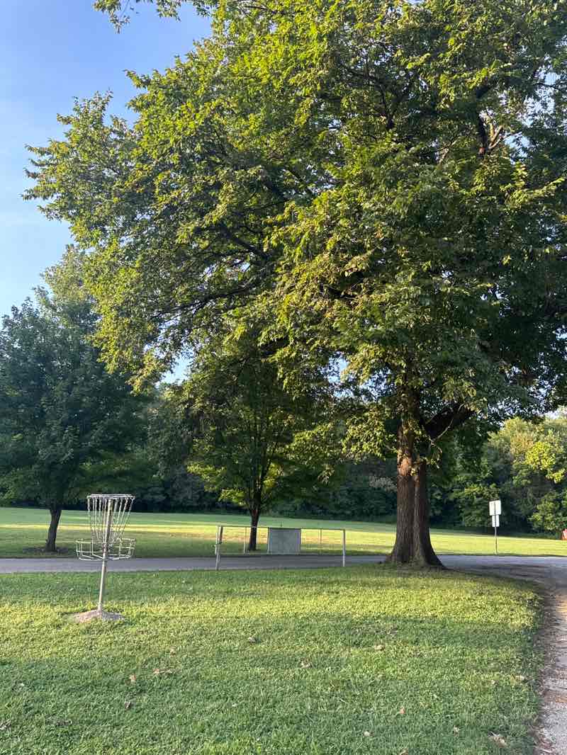 walking near me in Gunn Park in autumn