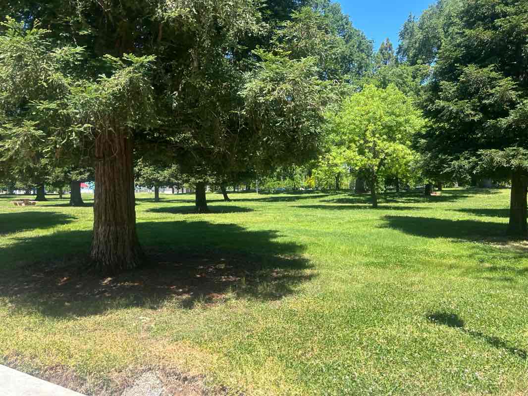 walking near me in Lake Redding Park in spring