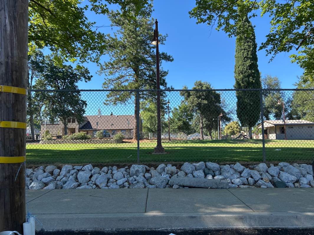 walking near me in Clair Engle Park in summer