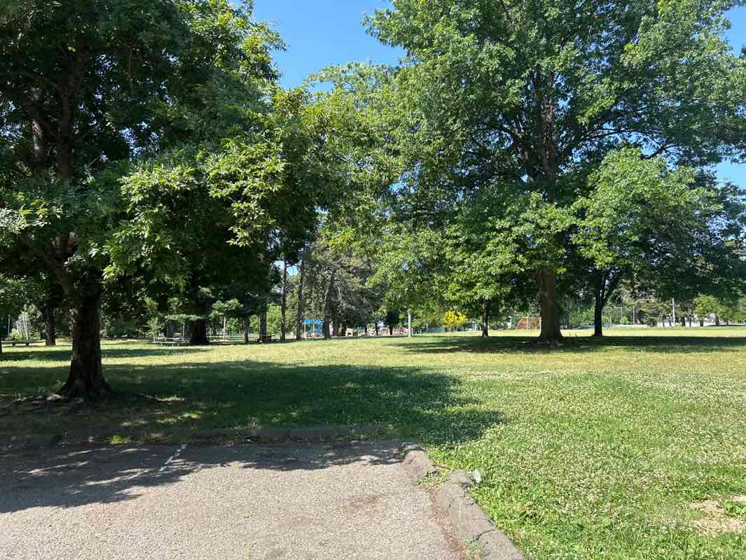 walking near me in Caldwell Park in summer